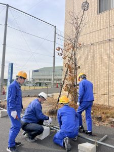 クリスマスイルミネーション 準備中🎄🎅